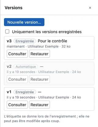 Le panneau Versions avec le bouton Nouvelle version…, la case Uniquement les versions enregistrées et la liste des versions avec numéro, type, étiquette, date et auteur, chacune avec les boutons Consulter et Restaurer.